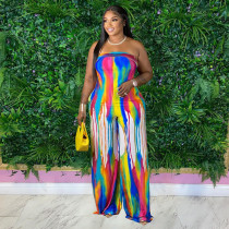 Plus Size Print Tube Tops Jumpsuit WAF-77582