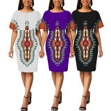 Fashion Print Short Sleeve Midi Dress SMR-11979