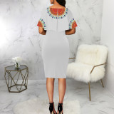 Fashion Print Short Sleeve Midi Dress SMR-11979