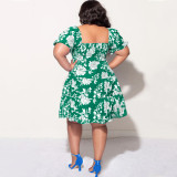 Plus Size Print V Neck Midi Dress NNWF-7879