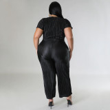 Plus Size Solid Color Tie Up And Wide Leg Pants Two Piece Set NNWF-7888