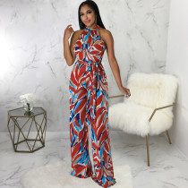 Print Sleeveless Halter Tie Up Jumpsuit SMR-11527_1