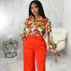 Print Multicolor Long Sleeve Shirts SMR-12052