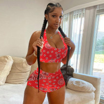 Casual Print Sleeveless Shorts Two Piece Set WSYF-5965