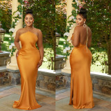 Sexy Solid Backless Halter Maxi Dress BY-C6636