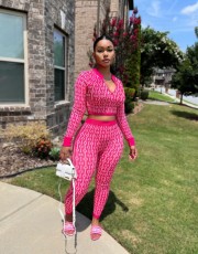 Knits Print Long Sleeve Zipper Two Piece Pants Set OLYF-6131