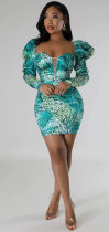 Fashion Print Puffed Sleeve Slim Mini Dress XHXF-368