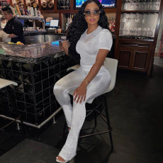Short Sleeve Solid Tops And Casual Pants Two Piece Set XEF-34877
