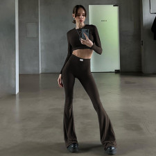 Casual Long Sleeve Tops And Micro Flare Pant 2 Piece Set FL-23423