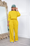 Solid Color Sweatshirt And Pants Thickened 2 Piece Set  AIL-253