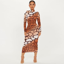 Long Sleeve Print Slim Midi Dress SH-390841