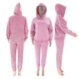 Solid Long Sleeve Hooded Sweatshirt Pants Two Piece Set SSNF-211401