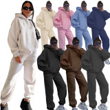 Solid Long Sleeve Hooded Sweatshirt Pants Two Piece Set SSNF-211401