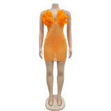 Solid Color Mesh Hot Rhinestone Feather Dress BY-6669