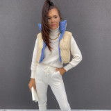 Reversible Wear Zipper Vest Warm Cotton Jacket GBTF-8099DN