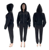 Solid Zipper Hooded Sweatshirt And Pants 2 Piece Set SSNF-211342