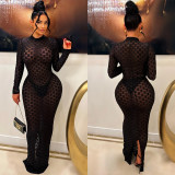 Solid Color Long Sleeve Slim Maxi Dress BY-6741