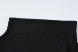 Solid Color High Neck Slim Maxi Dress BLG-D2810029K