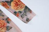 Mesh Print See Through Long Dress BLG-D3512632K