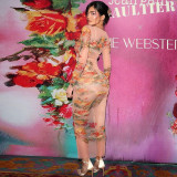 Mesh Print See Through Long Dress BLG-D3512632K