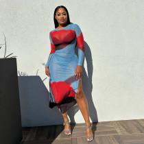 Print Mesh Long Sleeve Split Midi Dress YD-8797
