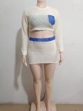 Patchwork Hollow Out Mesh Two-Piece Skirts Set GAKF-A30817