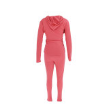 Casual Solid Zipper Hooded Pants Two Piece Set HNIF-9547