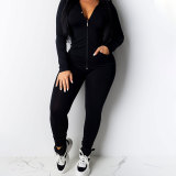 Casual Solid Zipper Hooded Pants Two Piece Set HNIF-9547