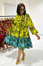 Printed Tie Up Lantern Sleeve Loose Big Swing Dress NY-10726