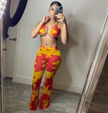 Sexy Printed Swimsuit Mesh 3 Piece Set(With Panties) BGN-163