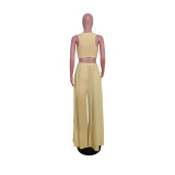 Solid Color Loose Sleeveless Two Piece Pants Set QYXZ-9932