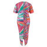 Plus Size Print Short Sleeve V Neck Maxi Dress GDAM-218375