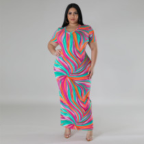 Plus Size Print Short Sleeve V Neck Maxi Dress GDAM-218375
