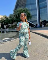 Kids Girl's Floral T-Shirt Flared Pants 2 Piece Set GYAY-M8037 