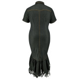 Plus Size Zipper Short Sleeve Denim Long Dress GDAM-218353