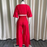 Solid Color Pleated Tie Up Two Piece Skirt Set GCZF-D220
