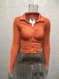 Pleated Lapel Single Breasted Long Sleeve Shirt GYSM-W0292