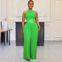 Pleated Sleeveless Tops Wide Leg Pants 2 Piece Set NY-10773