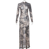 Mesh Print See Through Maxi Dress DLSF-23D33779