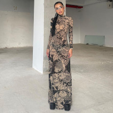 Print Long Sleeve Mesh Slim Maxi Dress GZJQ-K23D33779