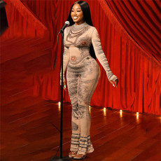Long Sleeve Print Mesh Tight Jumpsuit GZJQ-K23Q38228