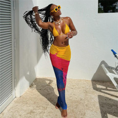 Sexy Tie Up Print Long Skirt Three Piece Swimsuit GZJQ-K23S41182