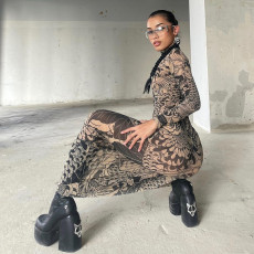 Print Long Sleeve Mesh Slim Maxi Dress GZJQ-K23D33779