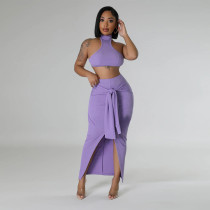 Solid Color Bandage Waist Two Piece Skirts Set CYA-901215