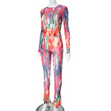 Mesh Print Long Sleeve Tight 2 Piece Pants Set MXBF-K23ST028