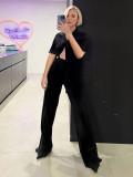 Loose Pleated Shirts Wide Leg Pants Two Piece Set MIL-126