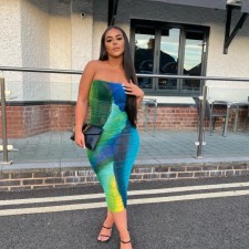 Color Block Print Mesh Tube Tops Midi Dress GAXB-A018DS