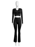 Long Sleeve Short Tops And Micro Flare Pants Sport Suit CH-24046