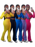 Long Sleeve Short Tops And Micro Flare Pants Sport Suit CH-24046
