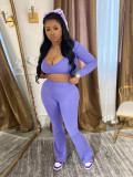 Long Sleeve Short Tops And Micro Flare Pants Sport Suit CH-24046
